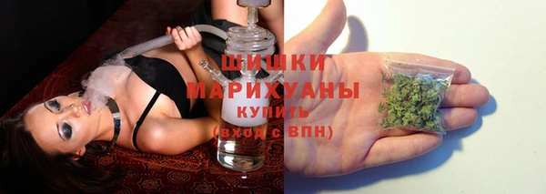 стаф Белоозёрский